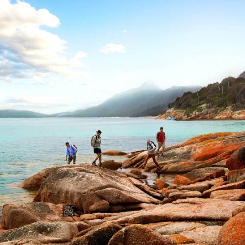 Freycinet Experience Walk Friendly Beaches lodge based walks