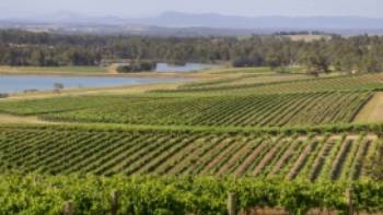 121243-56,Destination NSW Scenic view of Audrey Wilkinson Vineyard, Pokolbin