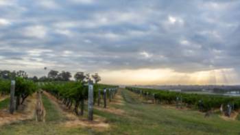 Hang out with the locals at Hermitage Road Cellars | Destination NSW