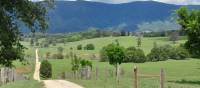 Follow picturesque country roads along the Northern Rivers. | Shawn Flannery