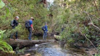 Bedford Creek - Blue Mountains,Michael Buggy Crossing Bedford Creek