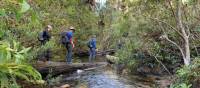 Crossing Bedford Creek | Michael Buggy