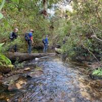 Crossing Bedford Creek | Michael Buggy