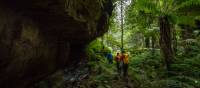 Bowens Creek Canyon - lush and green | Wolter Peeters | SMH