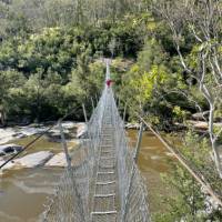 Bowtells Swing Bridge across the Coxs River | Rob McFarland