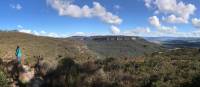 Mt Blackheath viewed from Centennial Glen Walking Track | Andy Mein