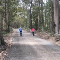Country lanes on the South Coast Cycle | Kate Baker