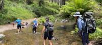 Crossing a creek on the Six Foot Track | Rob McFarland