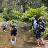 Crossing a creek on the Six Foot Track | Rob McFarland