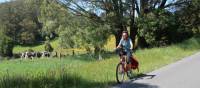 Cycling past fields with cows grazing in the Southern Highlands | Kate Baker