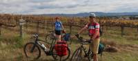 Cyclists in the vines at the Moothi Estate in Mudgee | Ross Baker