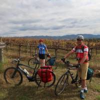 Cyclists in the vines at the Moothi Estate in Mudgee | Ross Baker