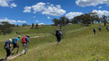 Hiking past Dryridge Estate winery