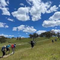 Hiking past Dryridge Estate winery | Rob McFarland