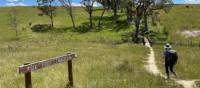 Hiking the Six Foot Track | Rob McFarland