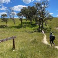 Hiking the Six Foot Track | Rob McFarland
