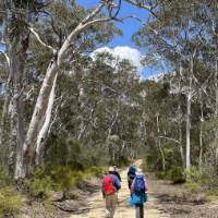 Hiking the Six Foot Track | Rob McFarland