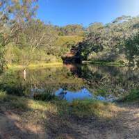 Enjoying an idyllic swimming hole in the Blue Mountains | Michael Buggy