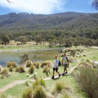 Summer walking alongside Thredbo River in Kosciuszko National Park | Destination NSW