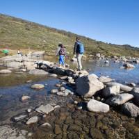Crossing the Snowy River close to its source in Kosciuszko National Park | Tourism Snowy Mountains