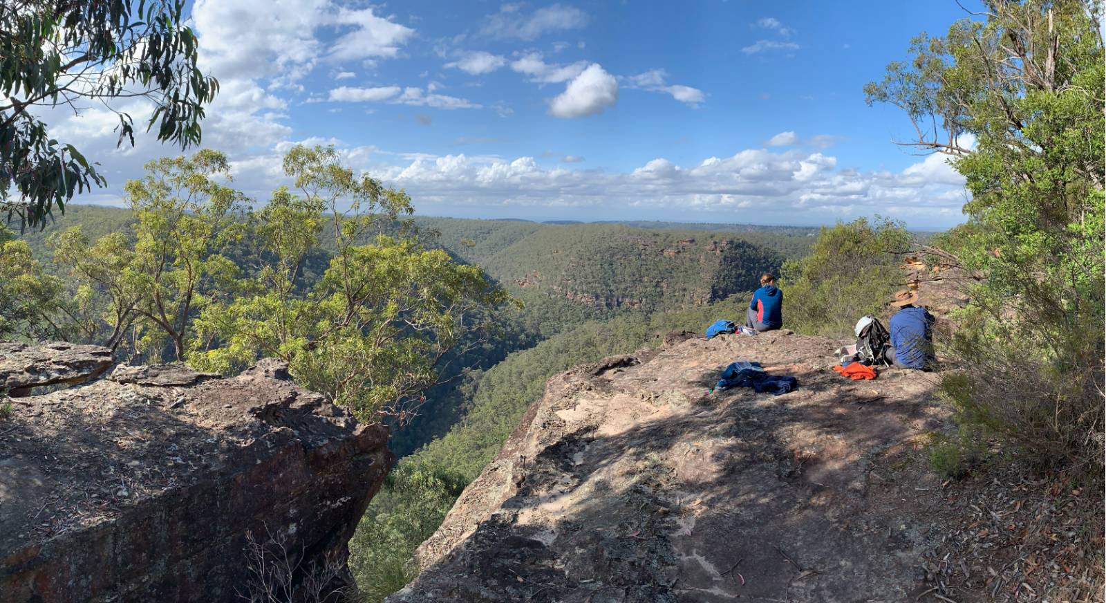 Lunching at the Lost World |  <i>Michael Buggy</i>