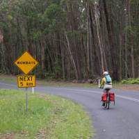 Myrtle Mountain Wombat sign with Cyclist | Ross Baker