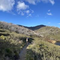 Setting out from Guthega into the beautiful alpine heath | Andy Mein