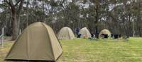 Tents at Black Range camp ground | Rob McFarland