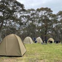 Tents at Black Range camp ground | Rob McFarland