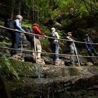 Explore the best of the Blue Mountains | Jannice Banks