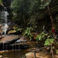 Let us show you the best of the Blue Mountains walks | Jannice Banks