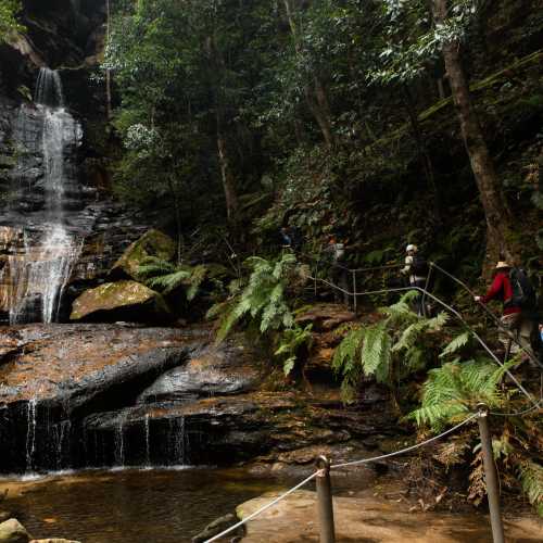 The Iconic Blue Mountains Walking Tour Blue Mountains Hiking Trips
