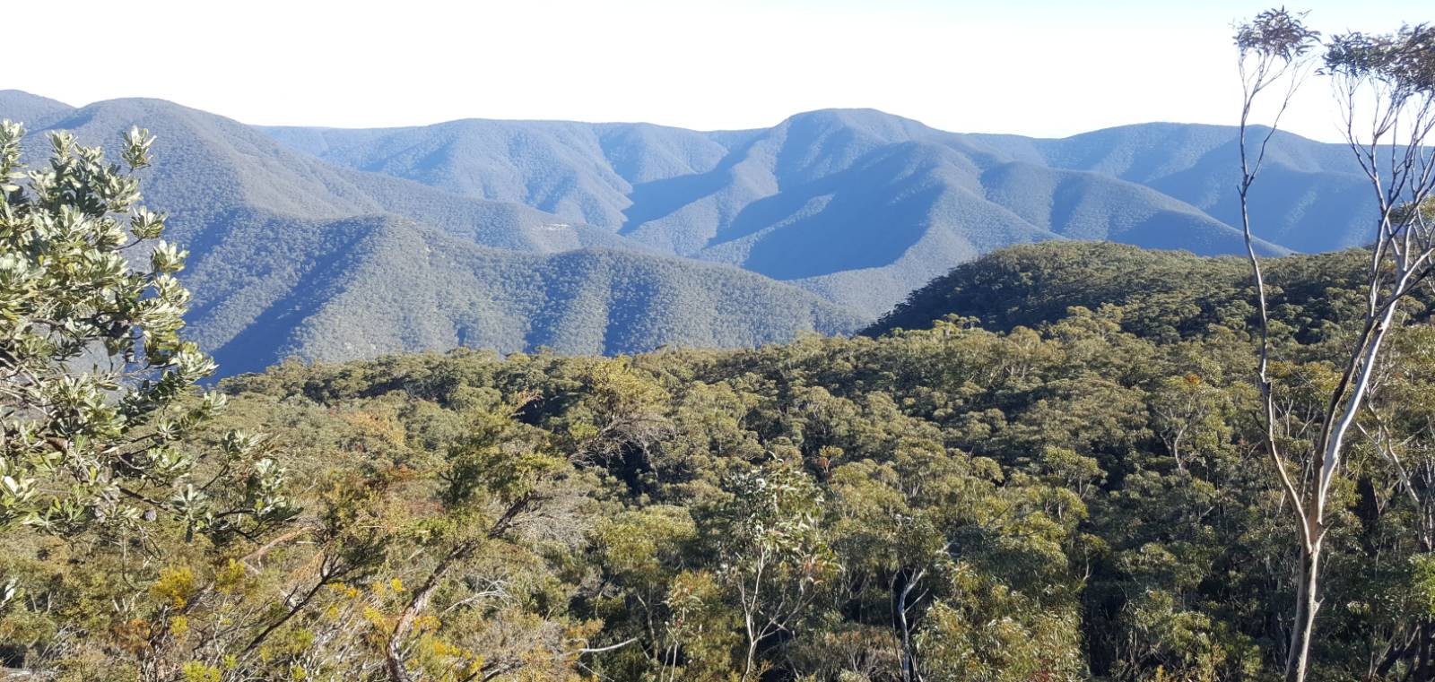 View from Mt Morilla on Day 2 of K2K |  <i>Lauren Storaker</i>