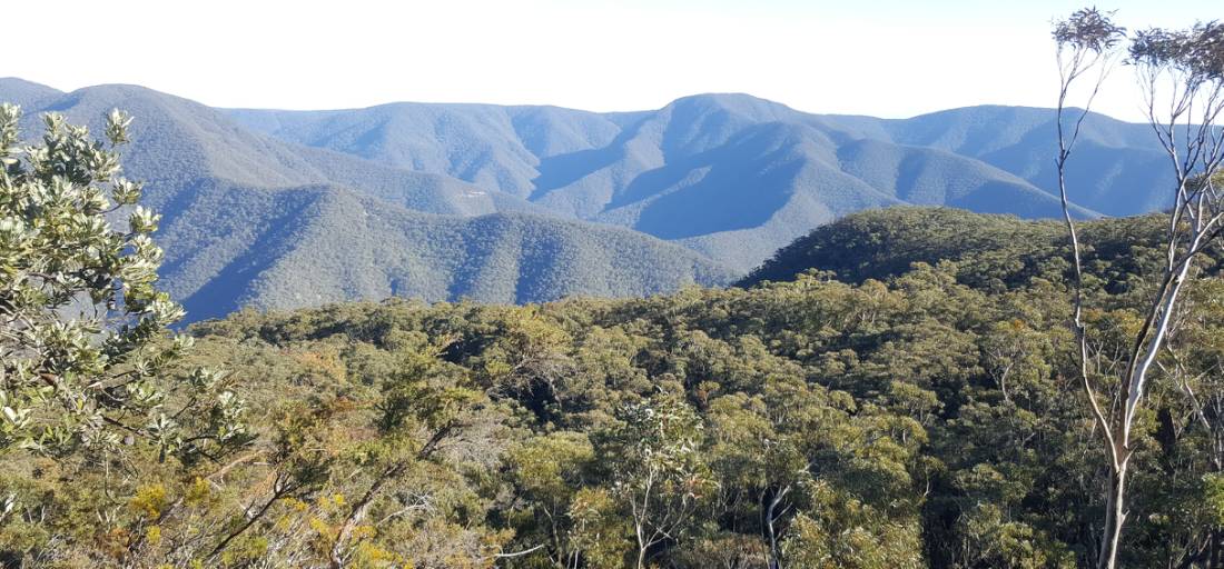 View from Mt Morilla on Day 2 of K2K |  <i>Lauren Storaker</i>