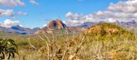 Exploring the remote walking trails in the Warrumbungle Ranges | Sue Badyari