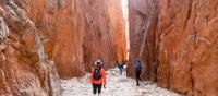 Hiking in Standley Chasm, Larapinta Trail | #cathyfinchphotography