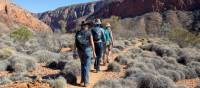 Social distanced walking along the Larapinta Trail | #cathyfinchphotography