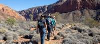 Social distanced walking along the Larapinta Trail | #cathyfinchphotography