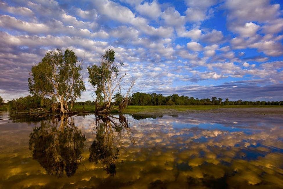 Andrew Thomasson Yellow waters