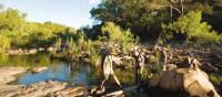 Trekkers follow Barramundi Creek in Kakadu | Aran Price