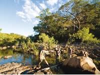 Trekkers follow Barramundi Creek in Kakadu |  <i>Aran Price</i>