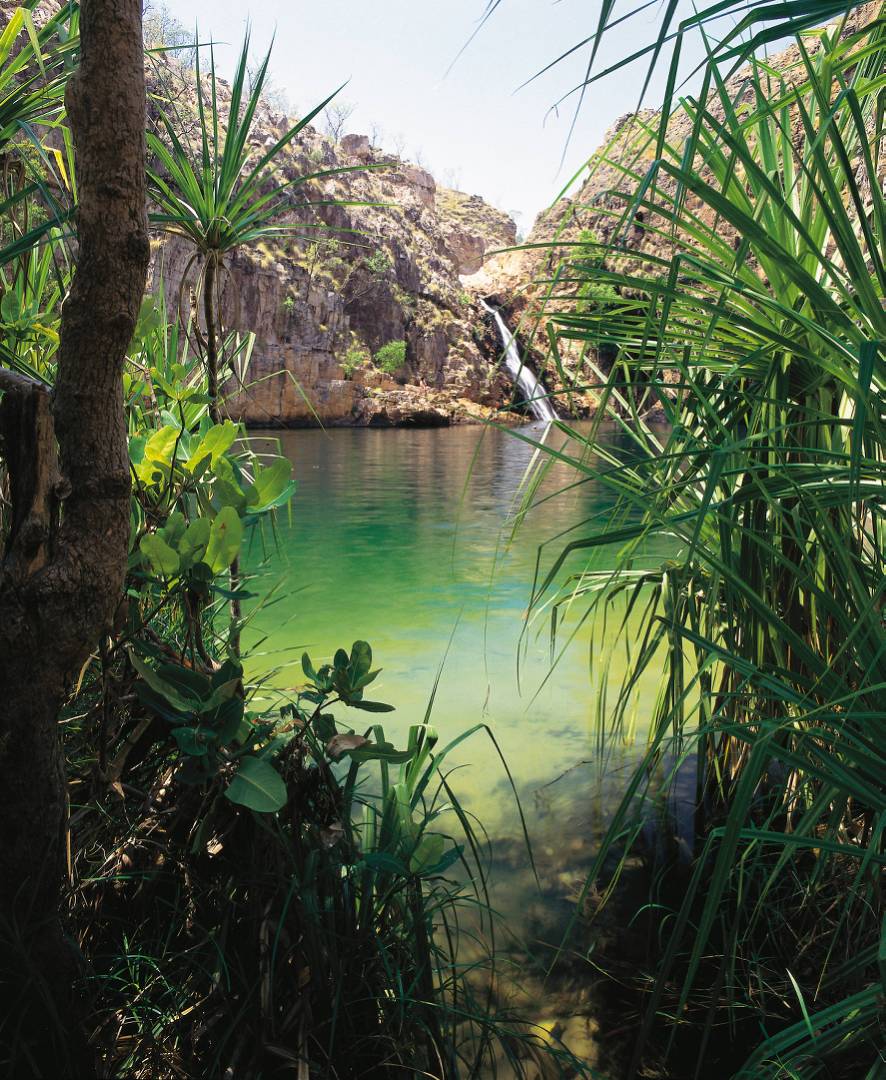 Barramundi Falls Kakadu National Park |  <i>David Tatnell</i>