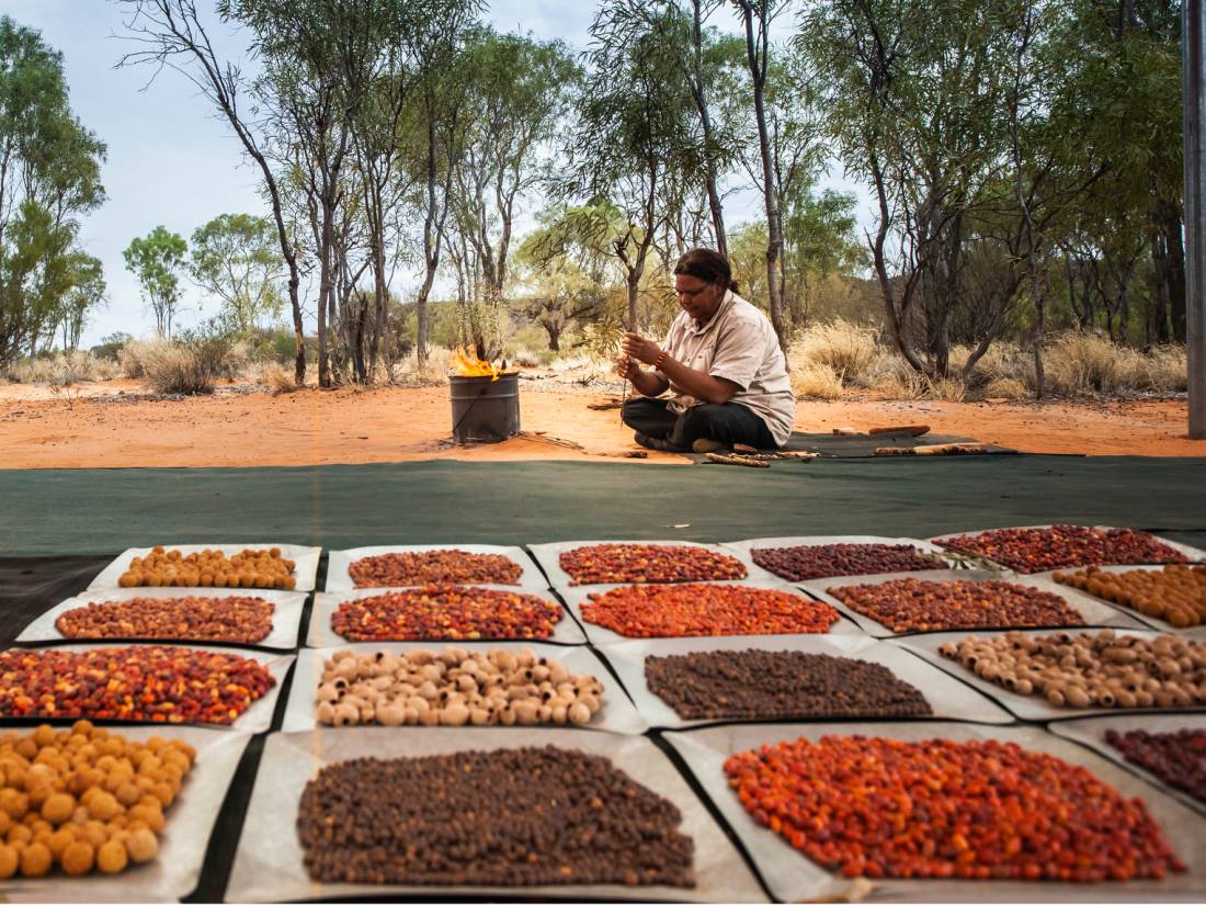 Gain insight into Aboriginal bush tucker during a cultural tour |  <i>Tourism NT/Archie Sartracom</i>