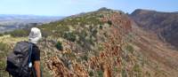 Bushwalker enjoying view from ridge on Larapinta | Andrew Bain