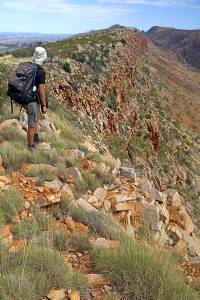 Bushwalker enjoying view from ridge on Larapinta | <i>Andrew Bain</i>