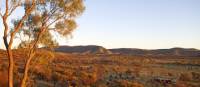 View of our private camp on the Larapinta | Andrew Bain