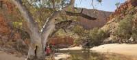 Classic outback country in Australia's Northern Territory | Paddy Pallin