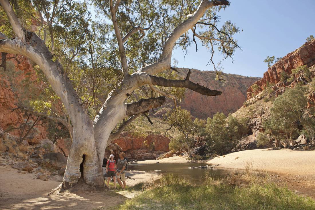 Classic outback country in Australia's Northern Territory |  <i>Paddy Pallin</i>
