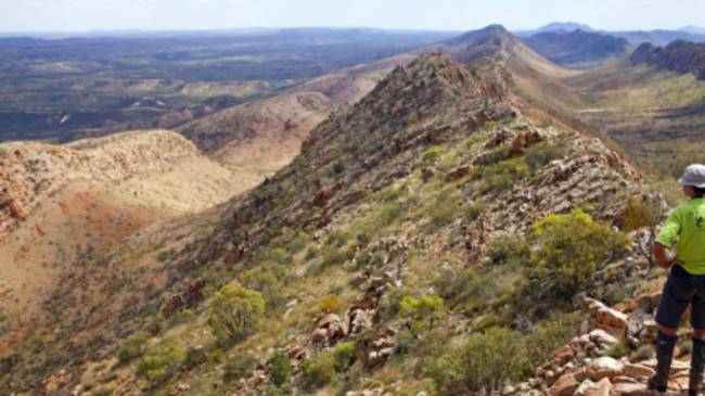 Walker enjoying view from Counts Point | Andrew Bain