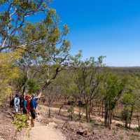 Hiking the Jatbula Trail | Shaana McNaught